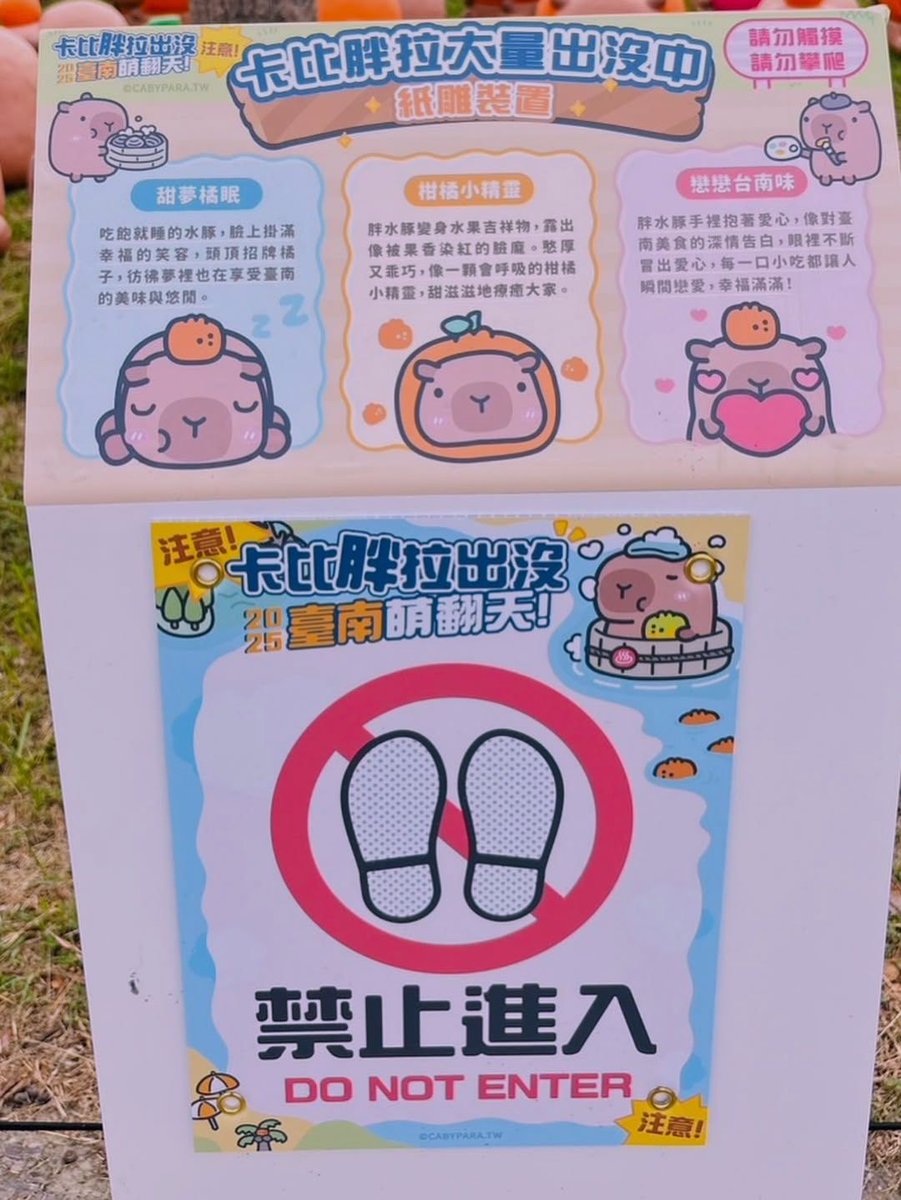 zzhodzz's tweet photo. 烤芝士龙虾从未让人失望，特别是那种富含营养的独特风味。 https://t.co/1aDxKd9Rqg