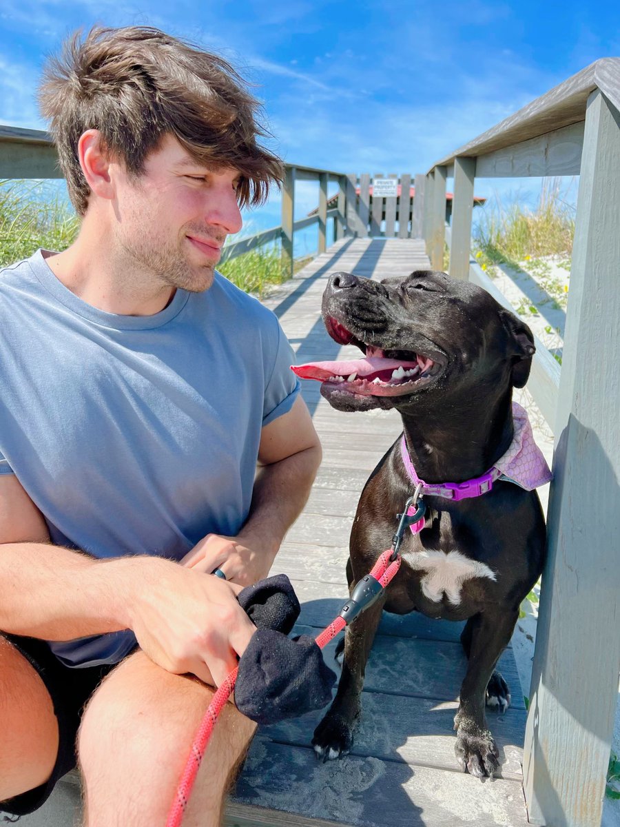 Full Blown Meltdown tweet media