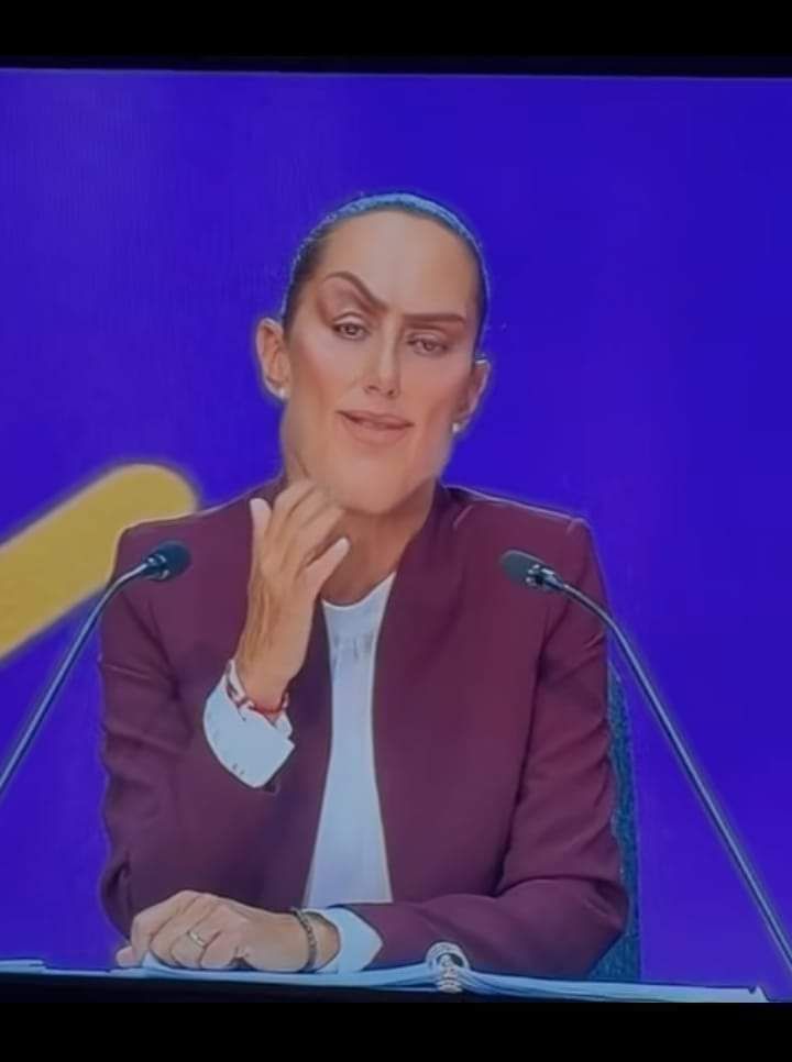 La Pirenaia 🧄 #1 twink hater tweet media