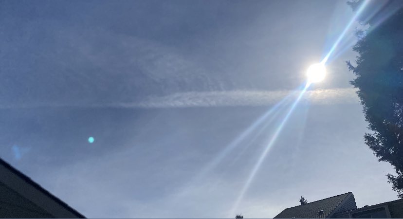 Rebekah81USA🇺🇸 tweet media