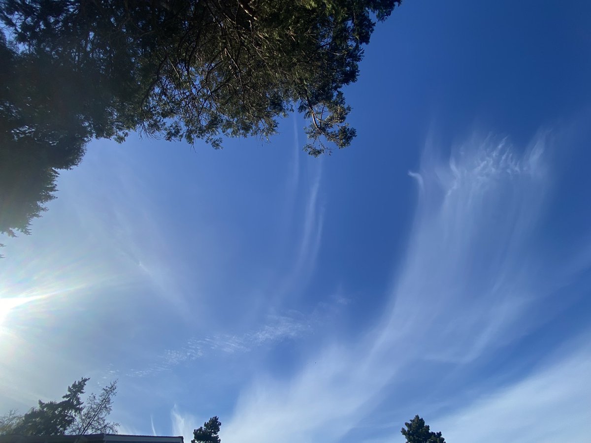 Rebekah81USA🇺🇸 tweet media