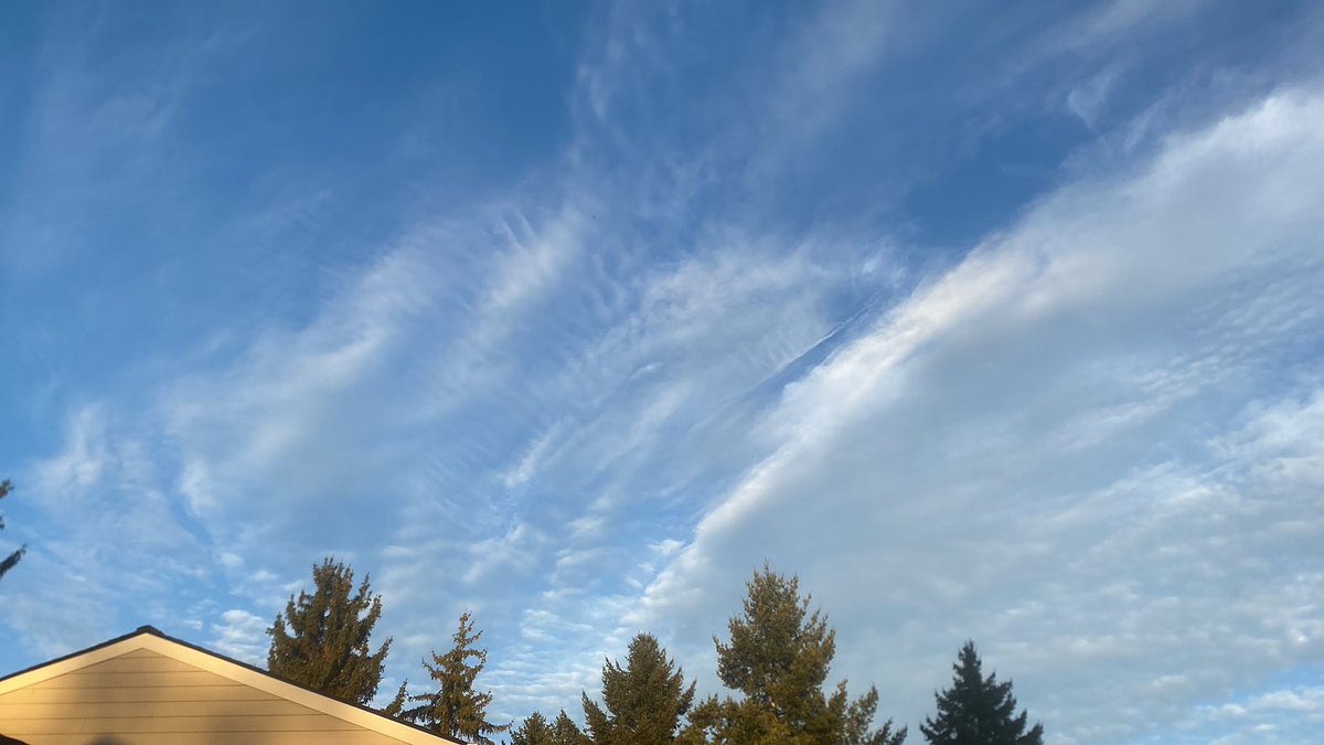 Rebekah81USA🇺🇸 tweet media