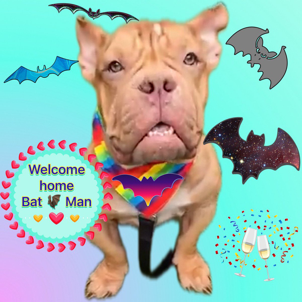 Moishe's Mom tweet media