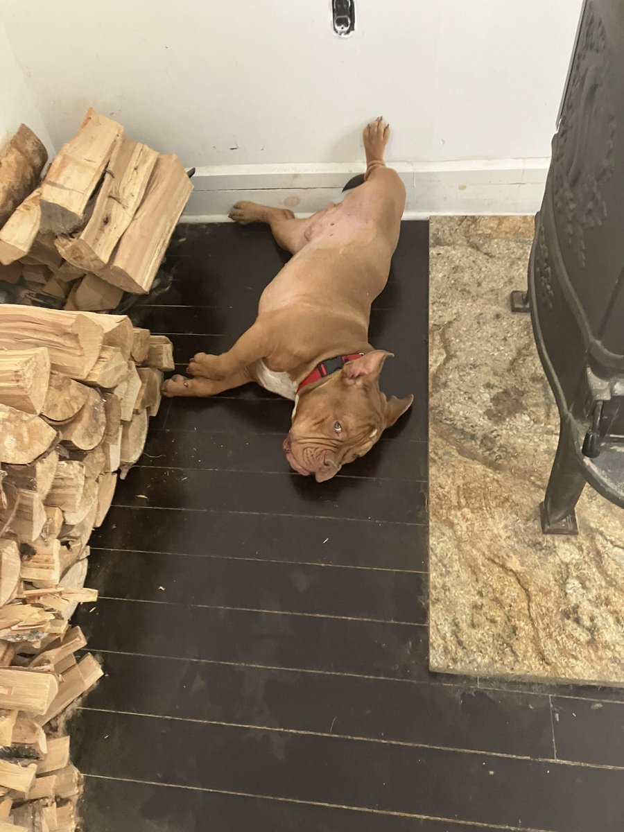 Moishe's Mom tweet media