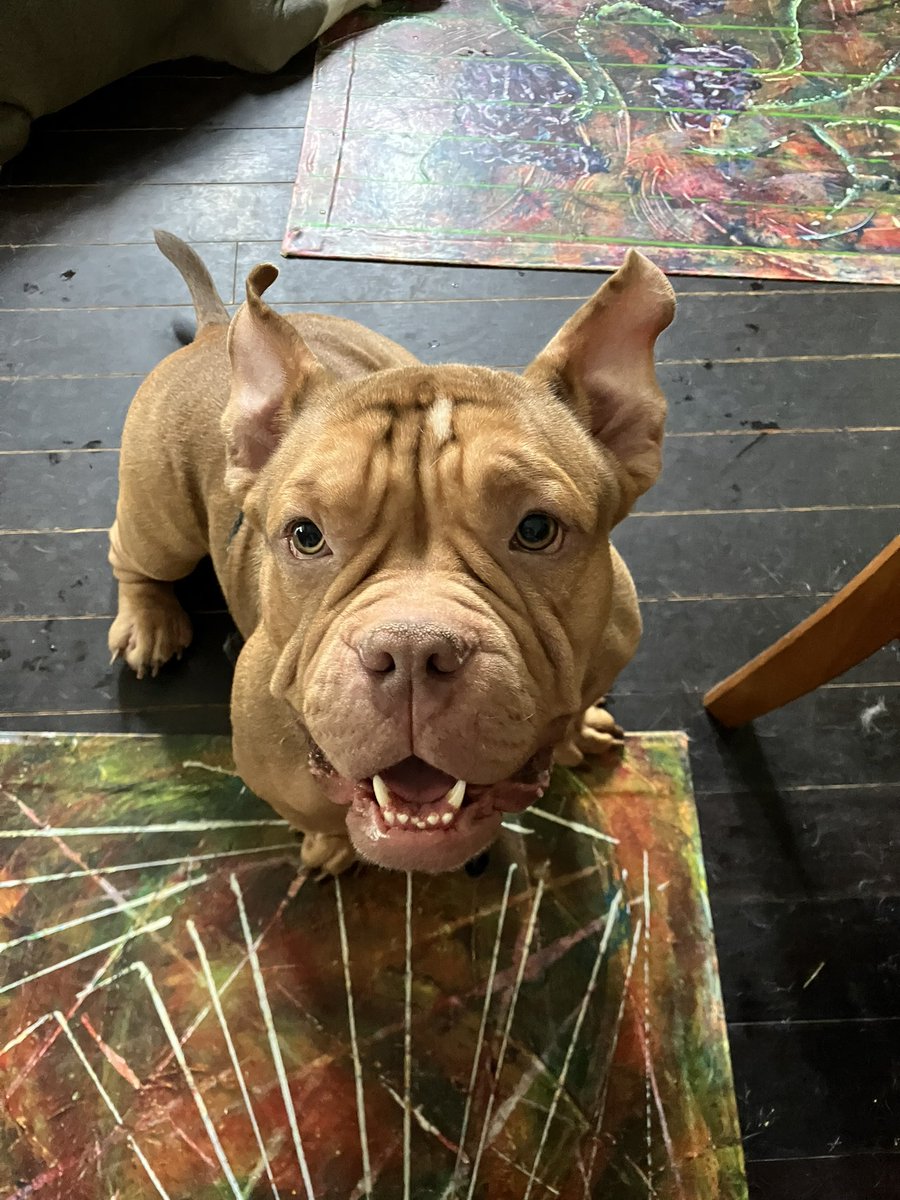 Moishe's Mom tweet media