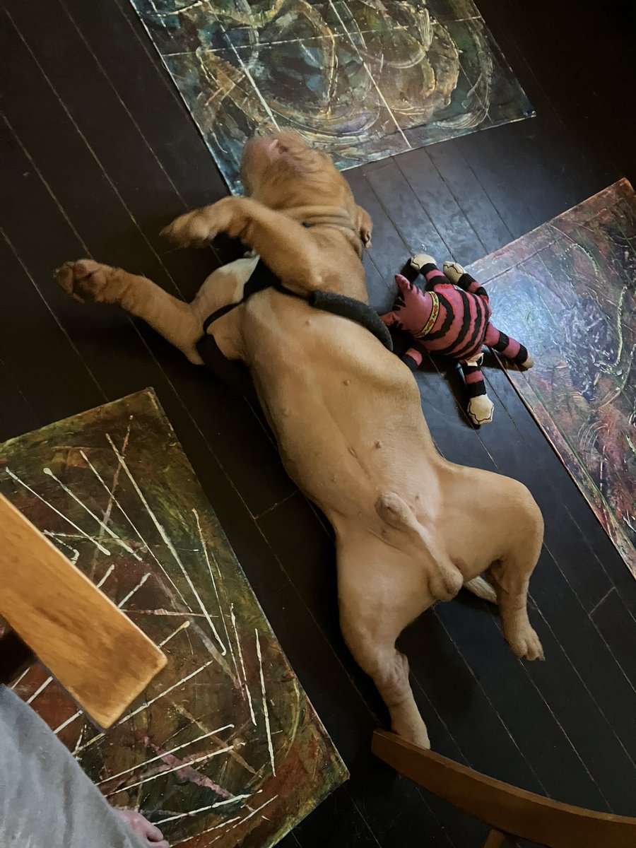 Moishe's Mom tweet media