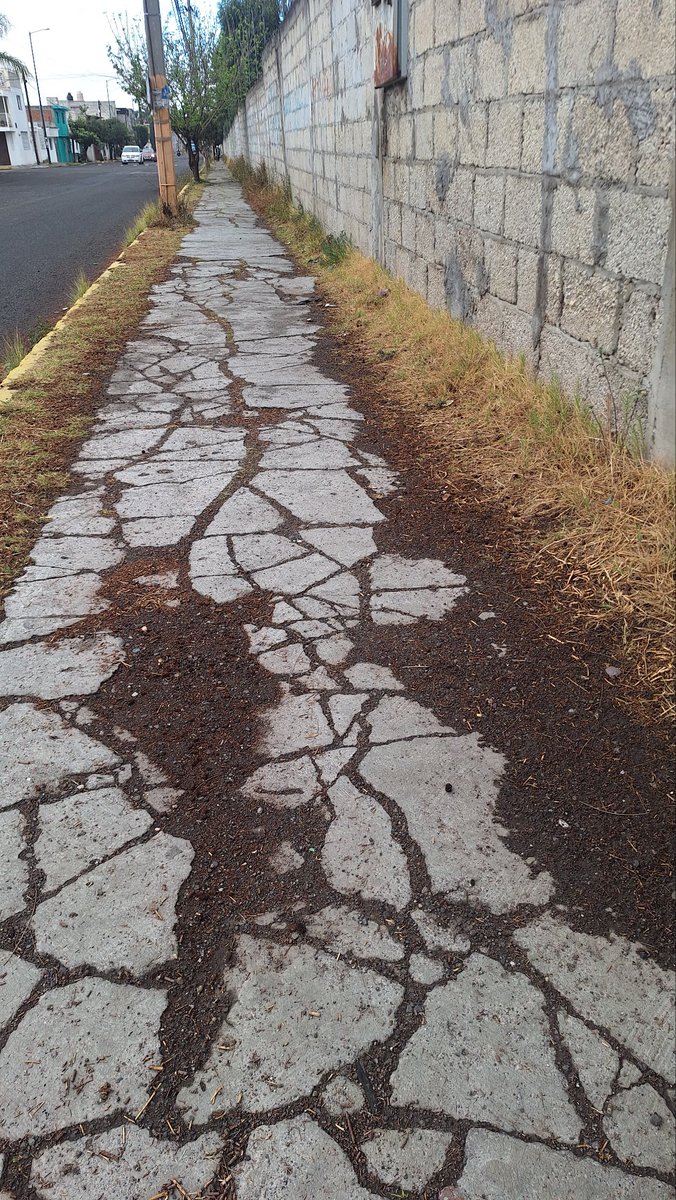 viry_vivanco's tweet photo. Muchos se preocupan por los baches y esta bien, pero a mi si me interesa que arreglen las banquetas creo que estamos dejando de lado las banquetas. https://t.co/IyLcos7Q1T