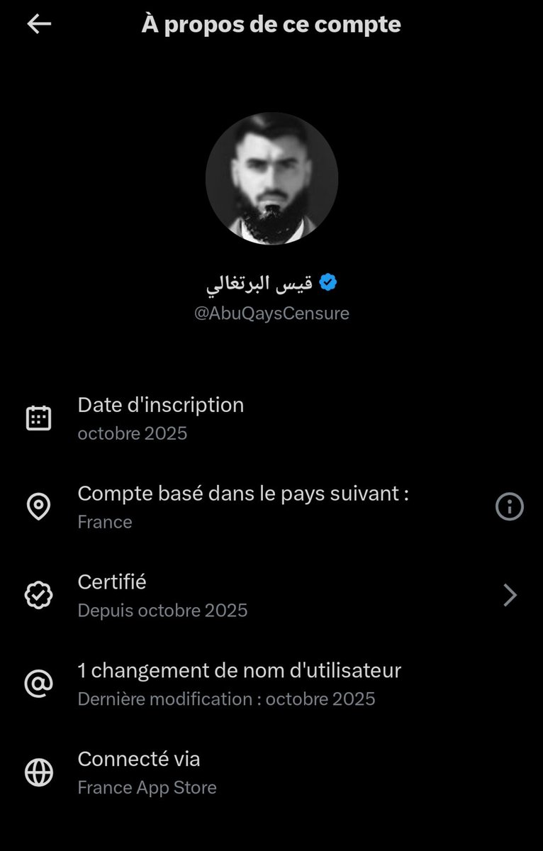 Louis VI Le Gros✝️⚜️🇨🇵🇩🇿♂️ tweet media