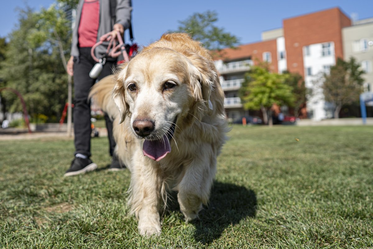 City of Toronto 🇨🇦 tweet media