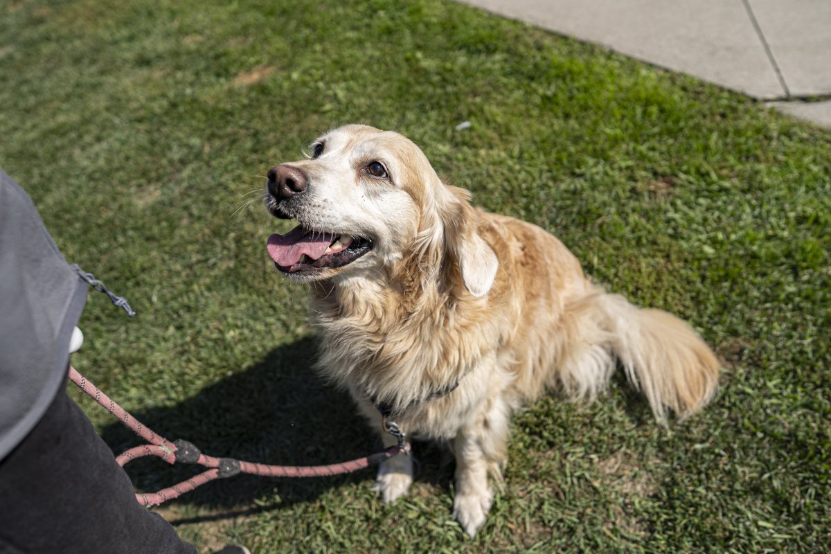 City of Toronto 🇨🇦 tweet media