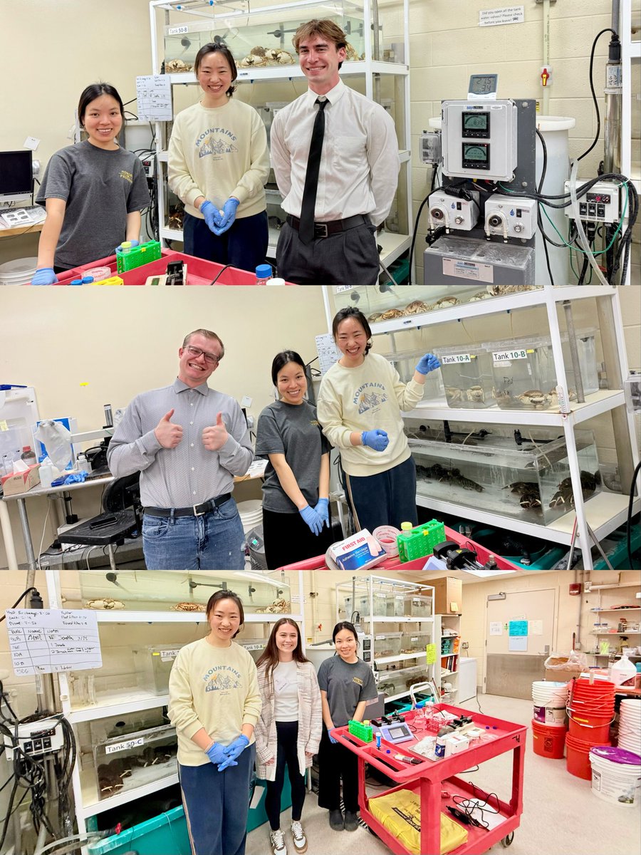 LiResearch's tweet photo. @UWMadPharmacy Recruitment event for Pharmaceutical Sciences program was a success 🎉🎉 We hope you enjoyed the nice weather in Madison and look forward to seeing you in the Fall 🦀🦞 https://t.co/rIRhydWc3A