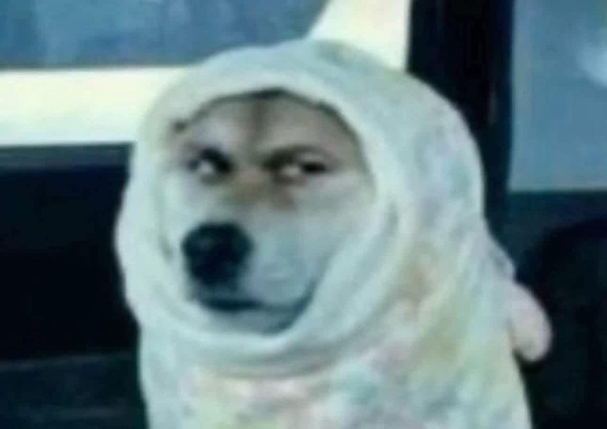 Geoffrey tweet media