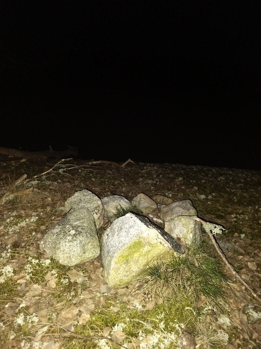 Pontus 🇸🇪 tweet media