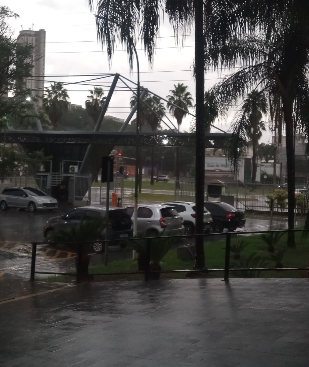 Lucas 🇧🇷🐆 tweet media