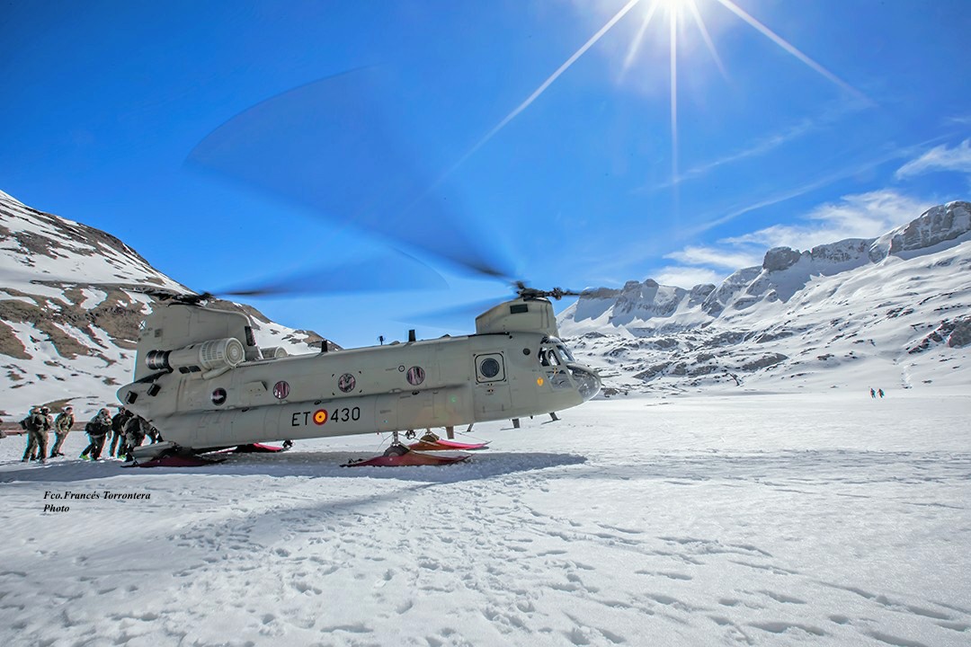 Fco.Francés Torrontera tweet media