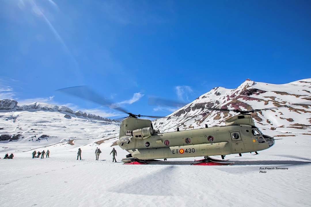 Fco.Francés Torrontera tweet media