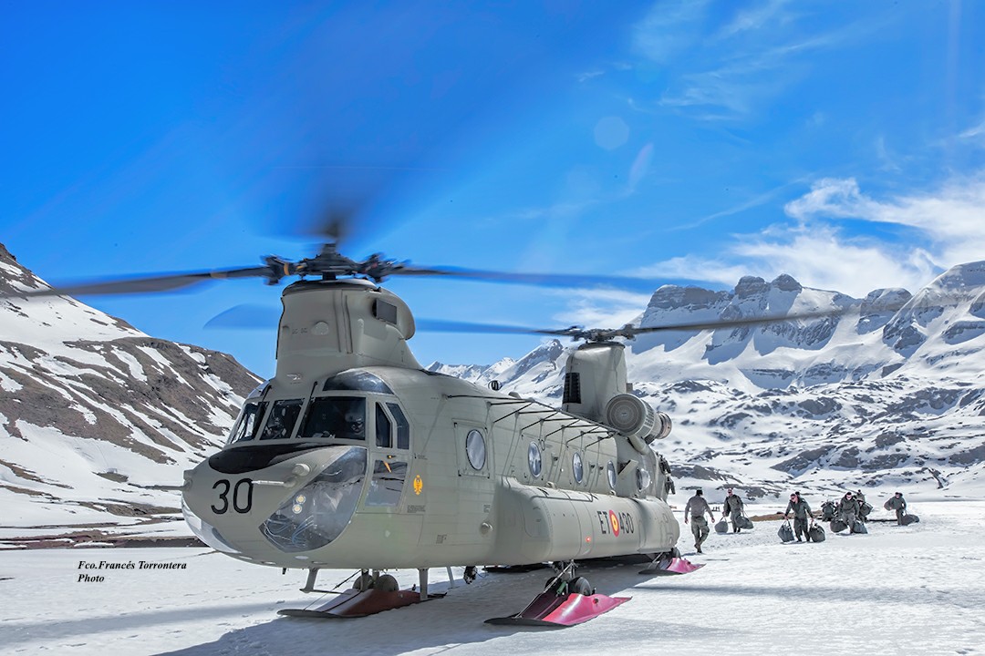 Fco.Francés Torrontera tweet media