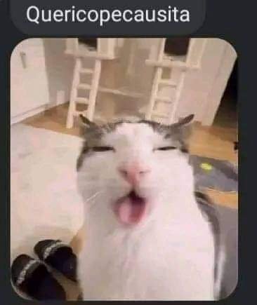 Gordo Manteca tweet media