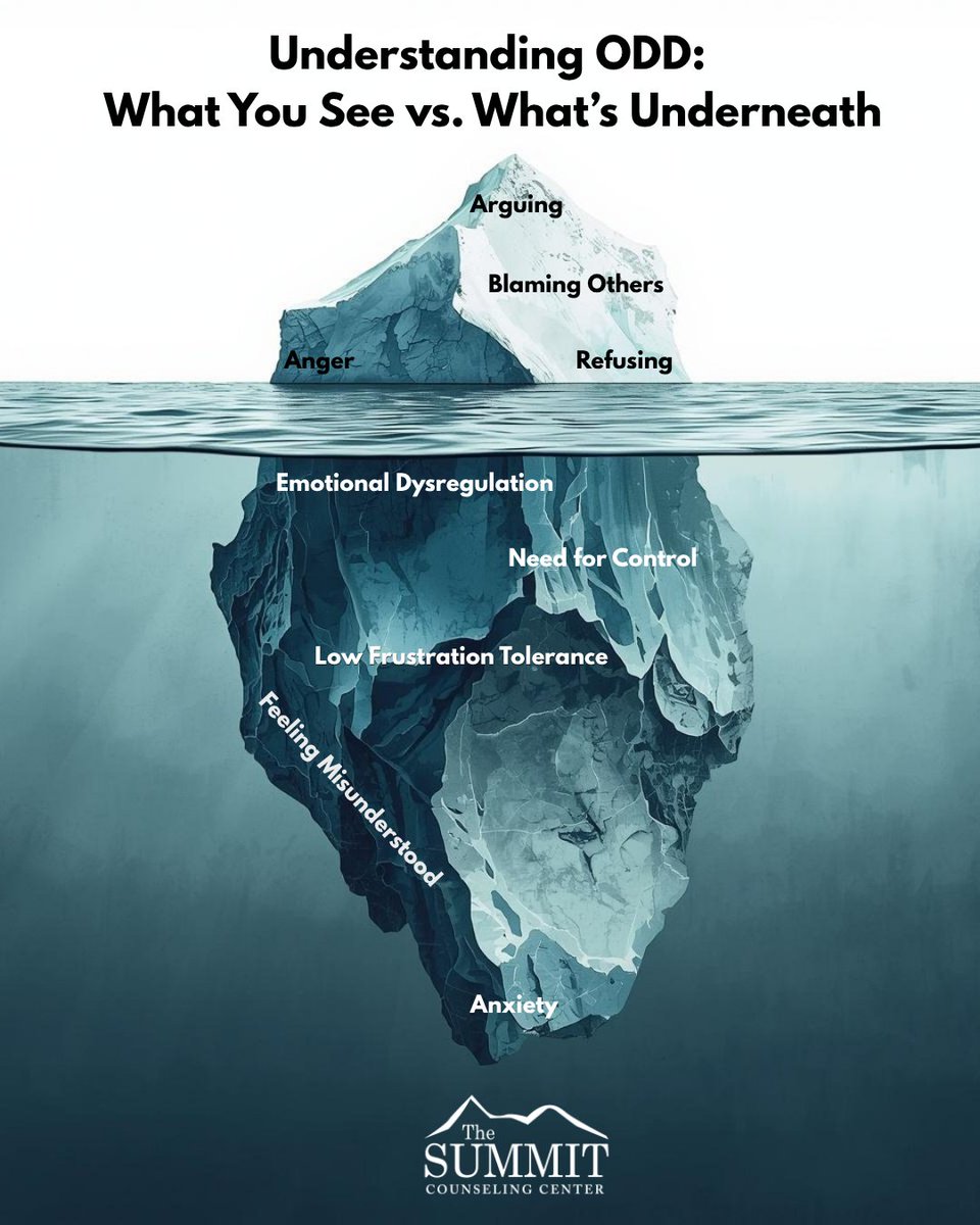 The Summit Counseling Center tweet media