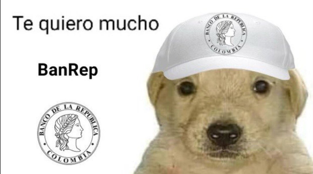 SRCHESS🇨🇴🇧🇷 tweet media