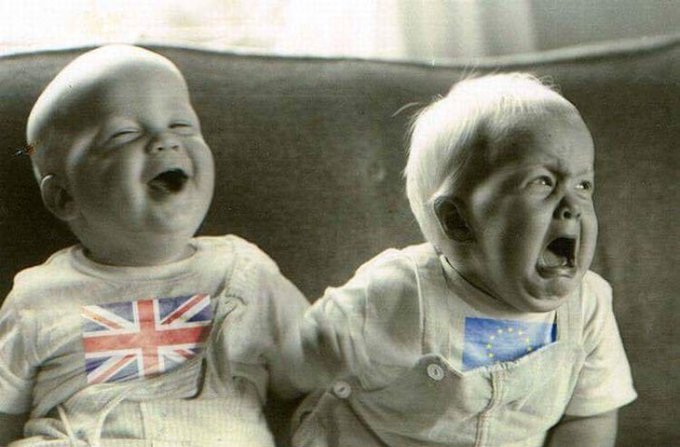 Steve Snell FFC tweet media