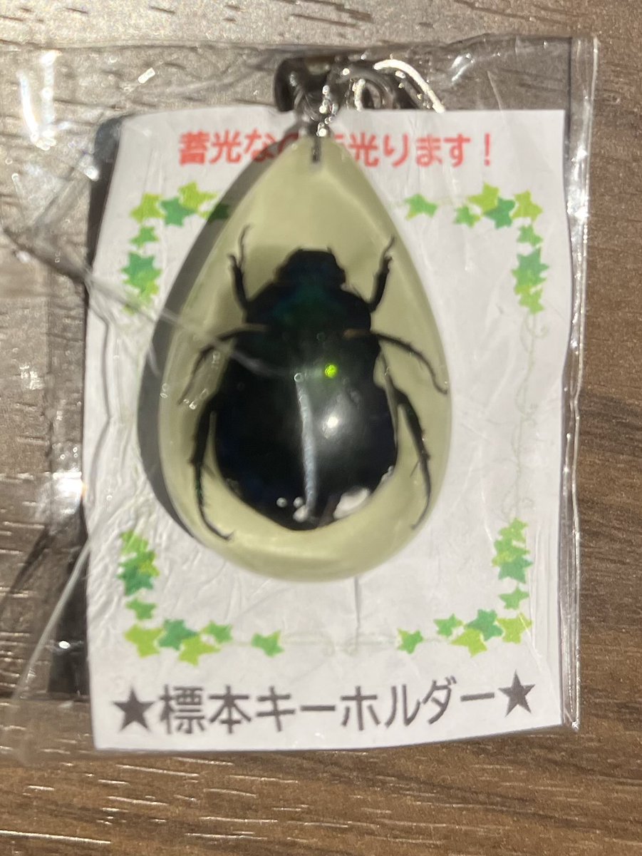 toako5's tweet photo. 札幌でクロテッドクリーム三つも買ったせいでドデカ保冷剤が必要でリュックが限界
あとは記念に嵩張らない物をと旭山動物園で買った口開けたカバと寝ている白熊（箸置き　箱は捨てた、グッズのタオルで梱包）
��れんが倉庫で気持ち悪いと思いつつ家族が大喜びしそうと買ったこれ、北海道とは多分無関係 https://t.co/4esD9lySMb