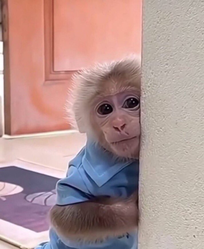 ryck rockwell tweet media