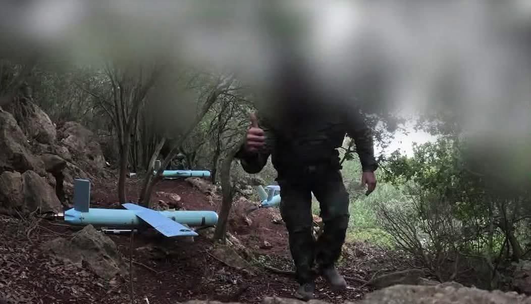 د 🪽🩵 tweet media