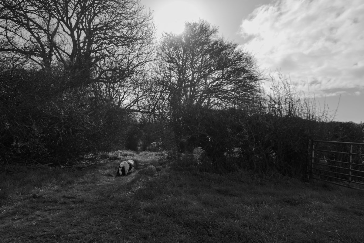 Phil Sledge tweet media