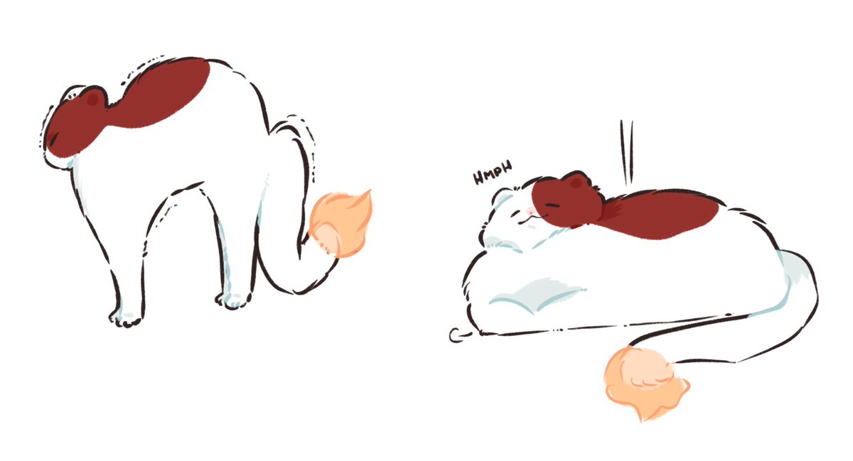 ⋆｡°✩ ♡🐱♡ ✩•° .(hiatus) tweet media