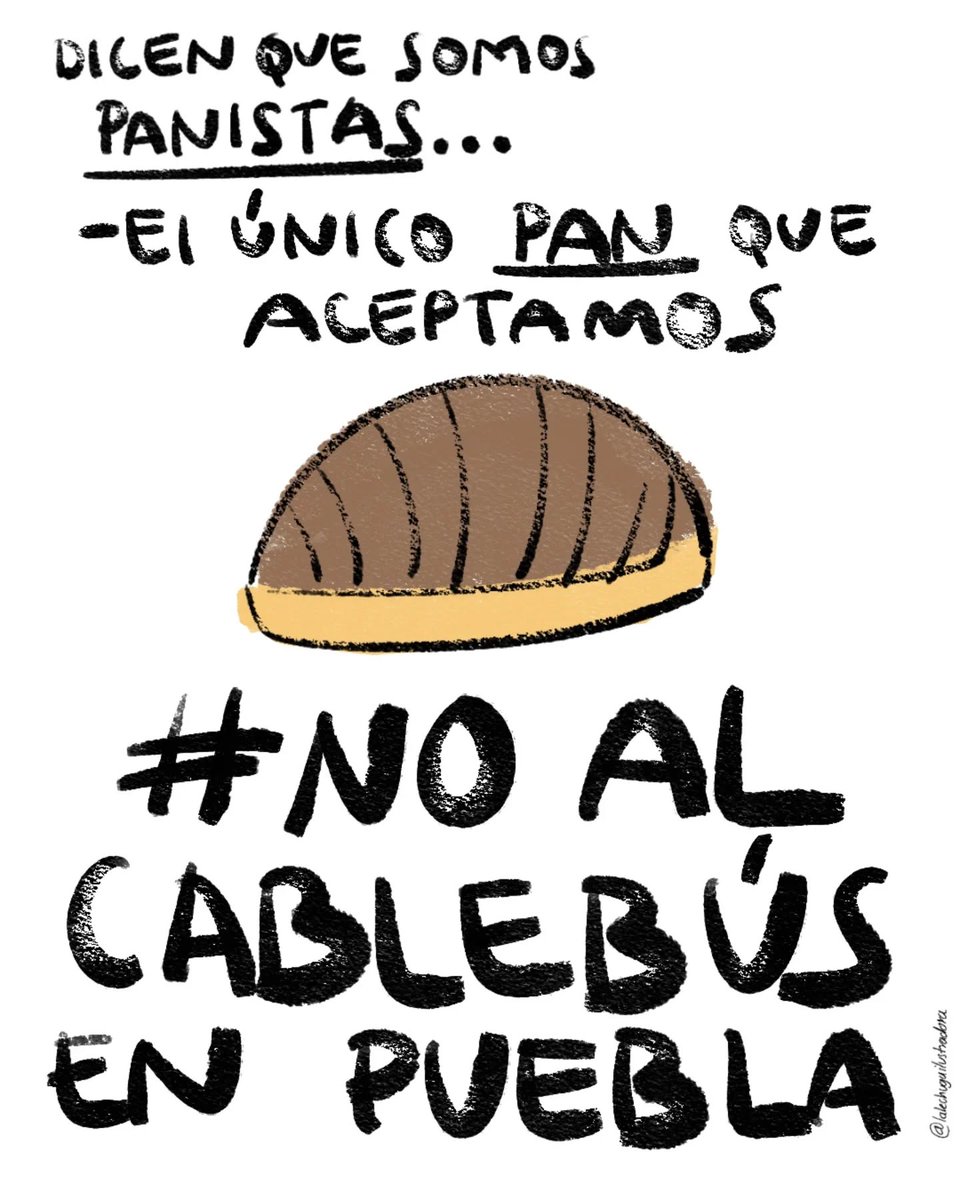 Mona Ortiz 🇵🇸 tweet media