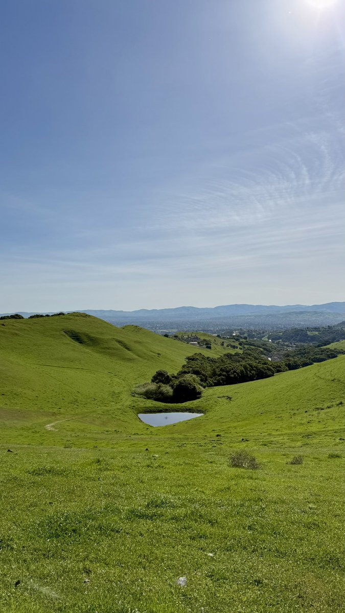 preeti ♥️ tweet media