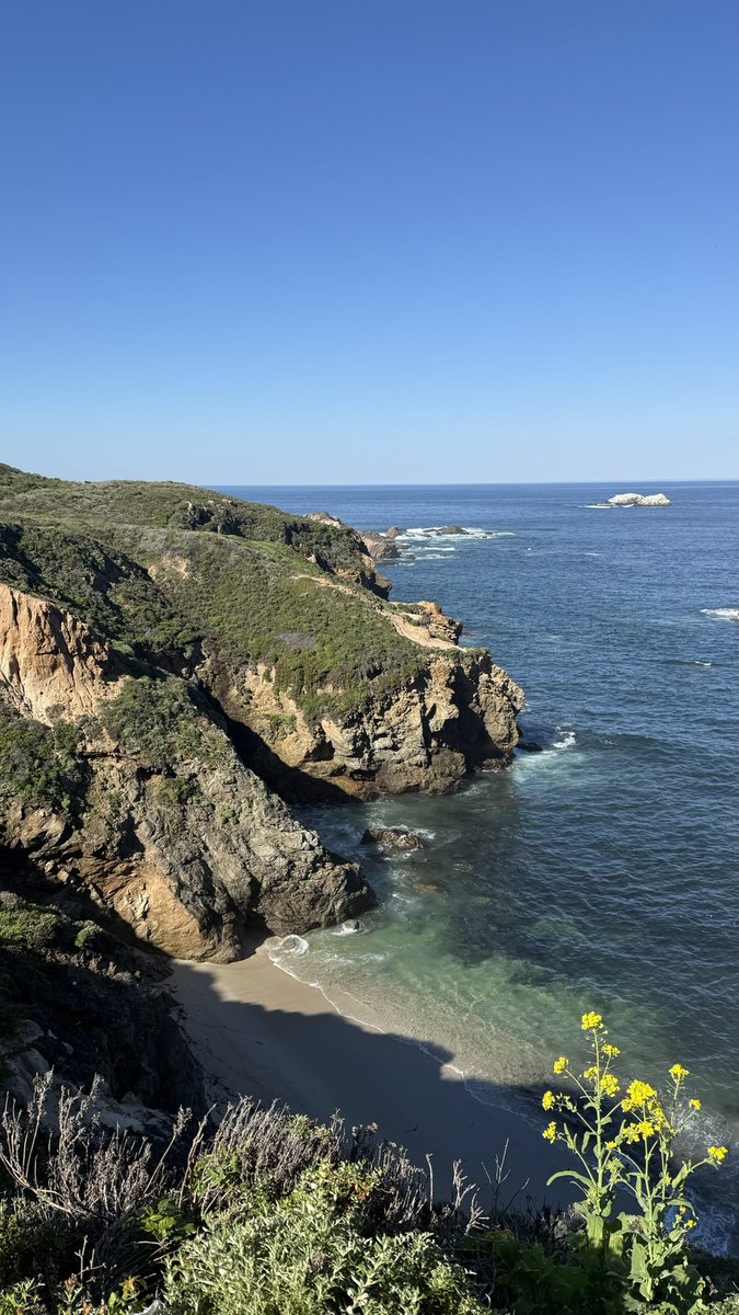 preeti ♥️ tweet media