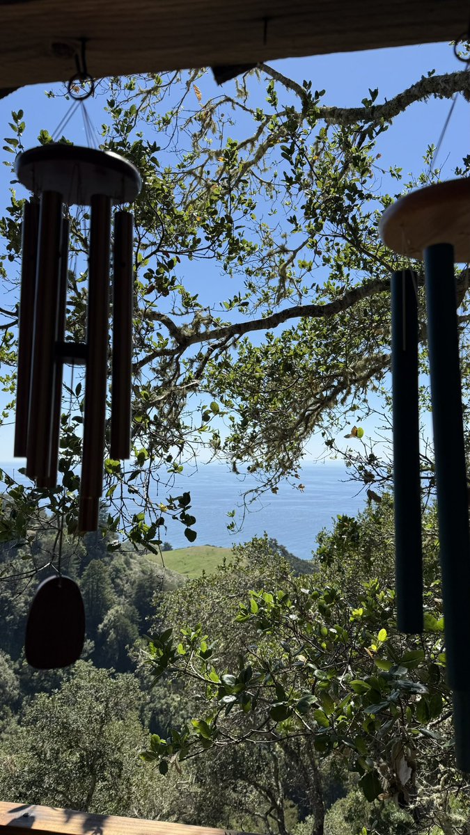 preeti ♥️ tweet media