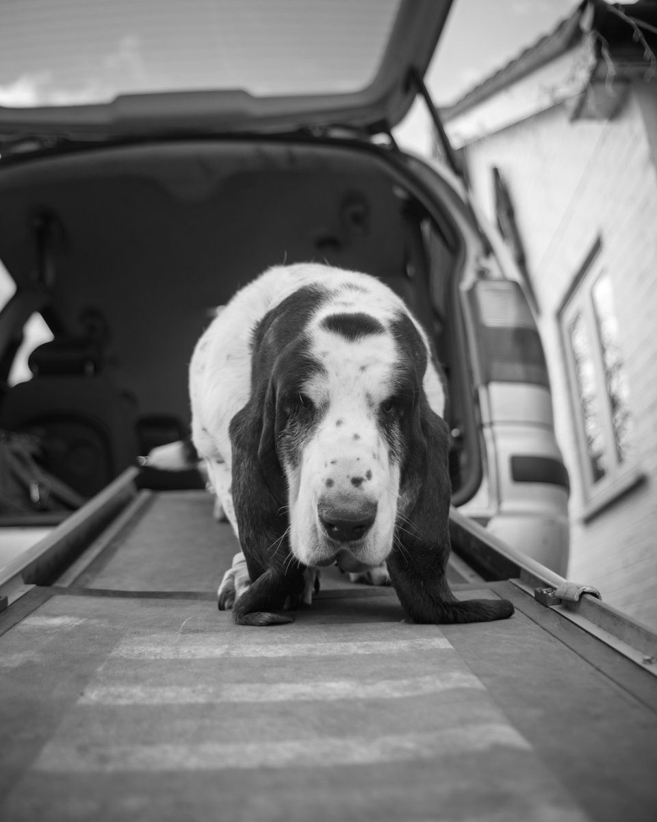 Phil Sledge tweet media