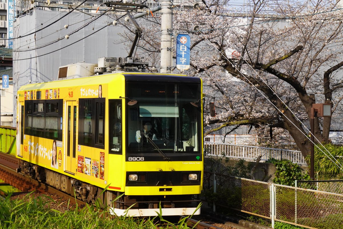 masashiz2's tweet image. おはようございます！(:D)┓
【飛鳥山停留場】東京さくらトラム(都営荒川線) レトロ車両9000形：飛鳥山の桜
【学習院下停留場 付近】東京さくらトラム8900形S&amp;amp;Bカレー広告：神田川の桜
【熊野前陸橋】東京さくらトラム7700形：消防車が通過待ち
【赤羽駅】りんかい線71-000形：ほぼ都営の第三セクター