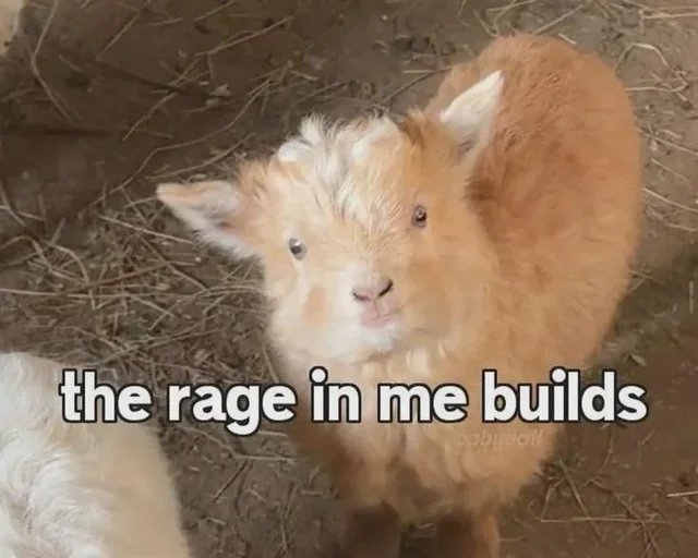 Suffy 🦢 tweet media