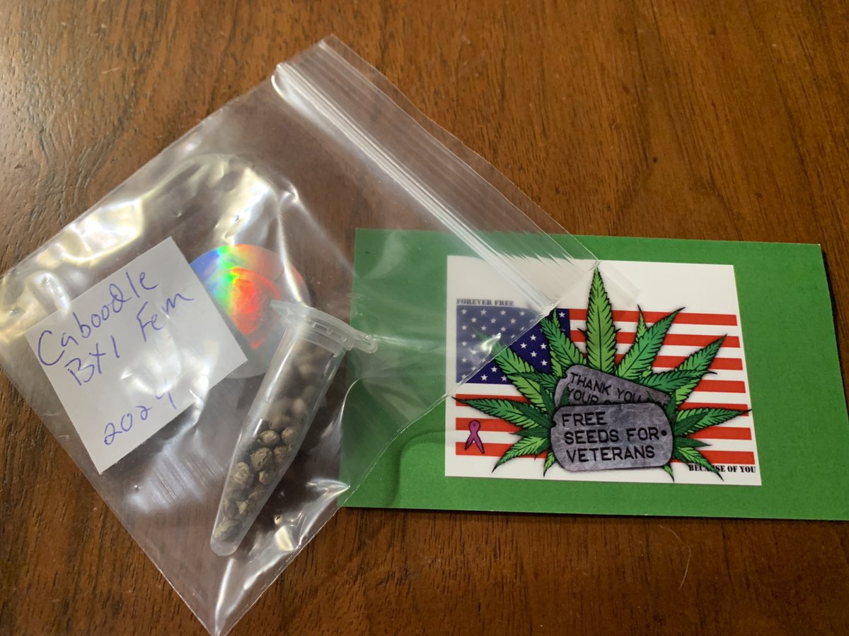 jrobx293's tweet photo. Thank you @Ericcannavet for the seeds! Can’t wait to see what I can do with them! https://t.co/z1KnY6ornW