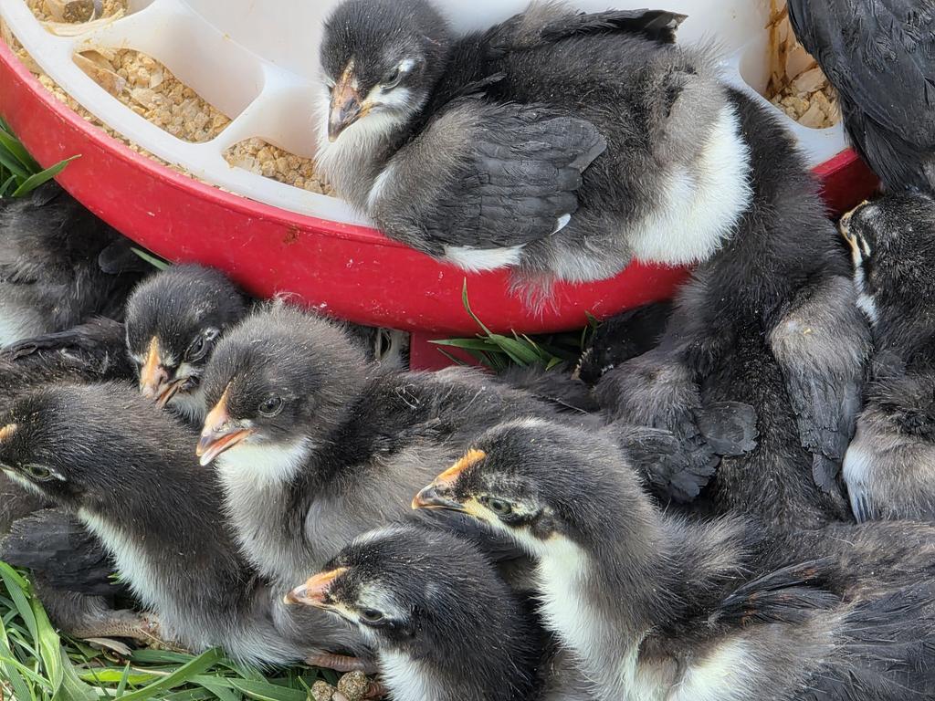 MenAreSpeaking tweet media