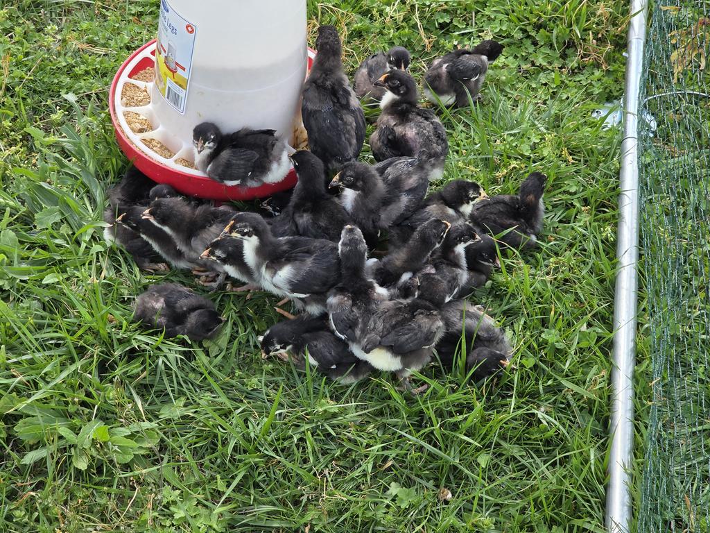 MenAreSpeaking tweet media