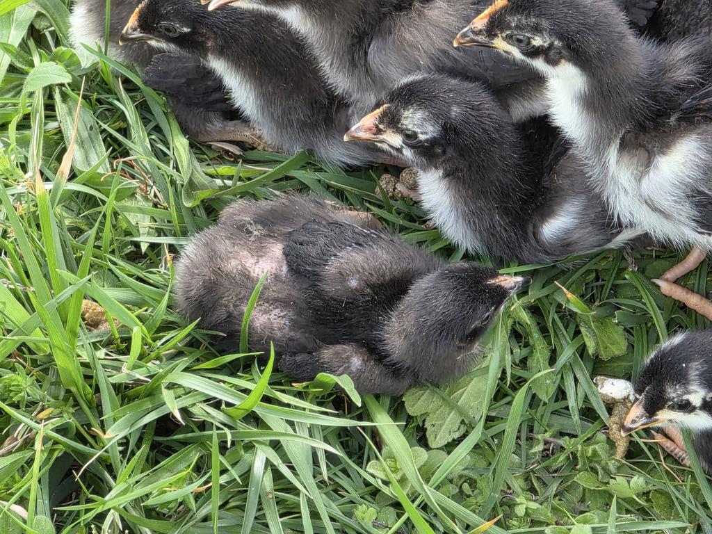 MenAreSpeaking tweet media