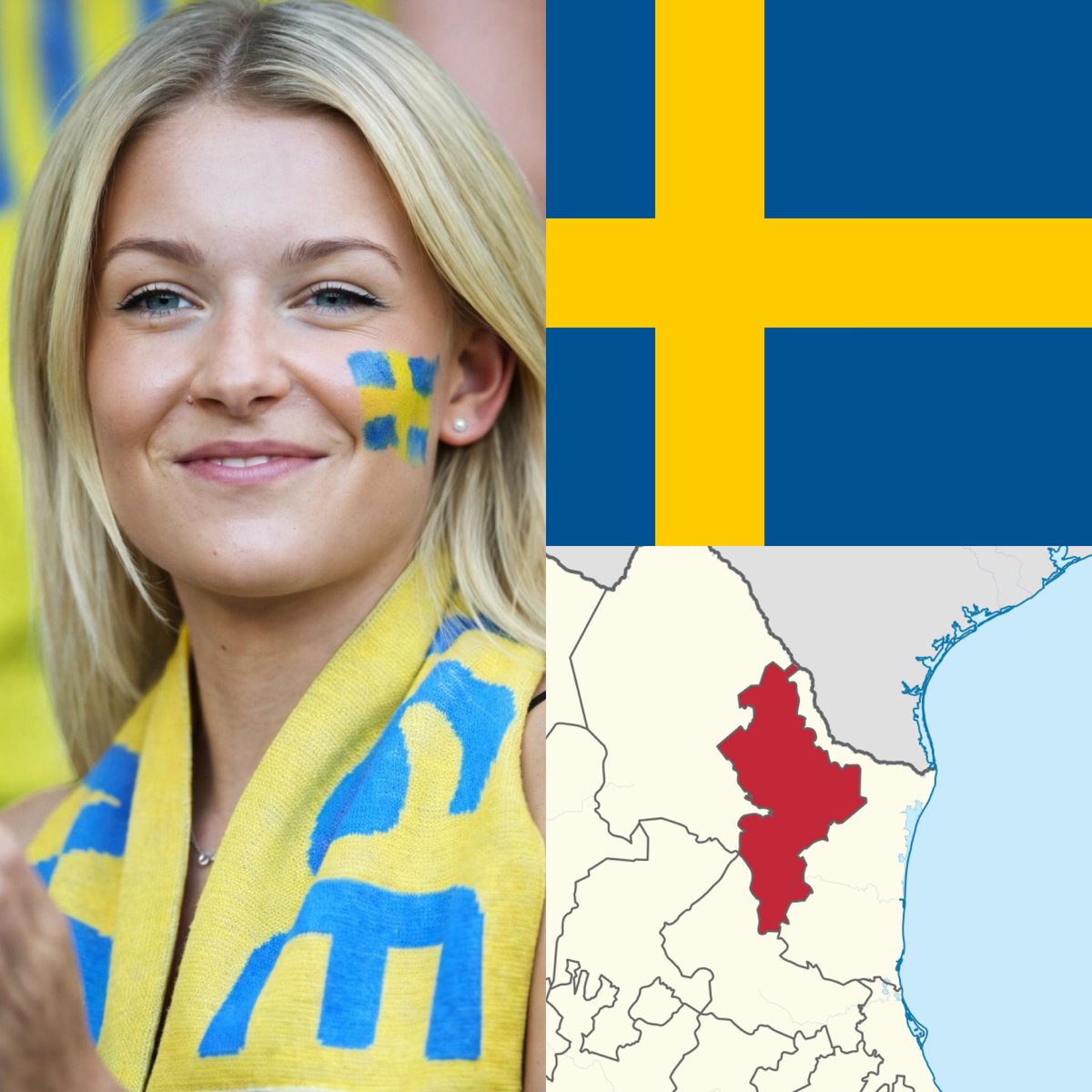 Cerebros tweet media