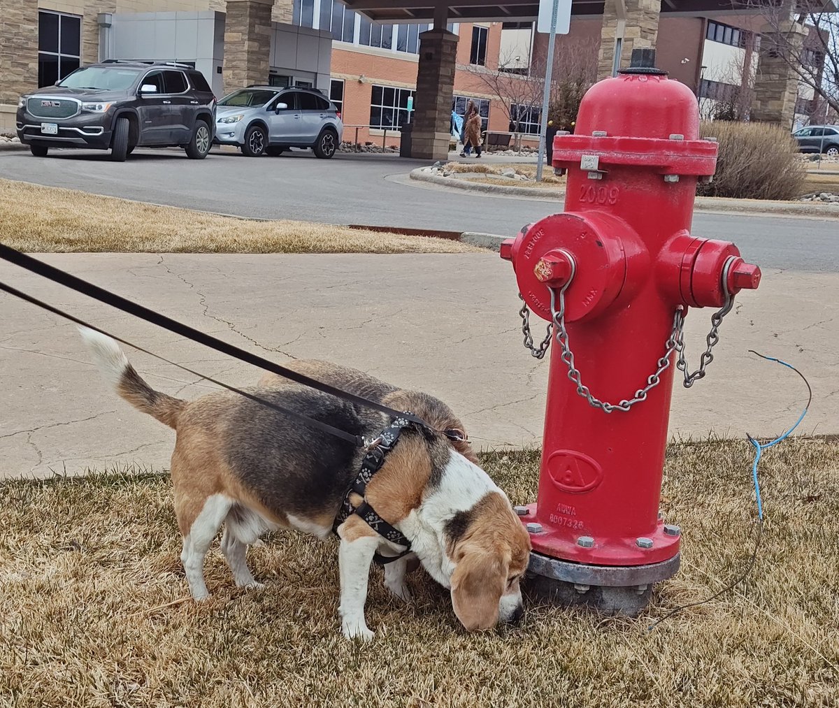 Ferguson y Jasper tweet media