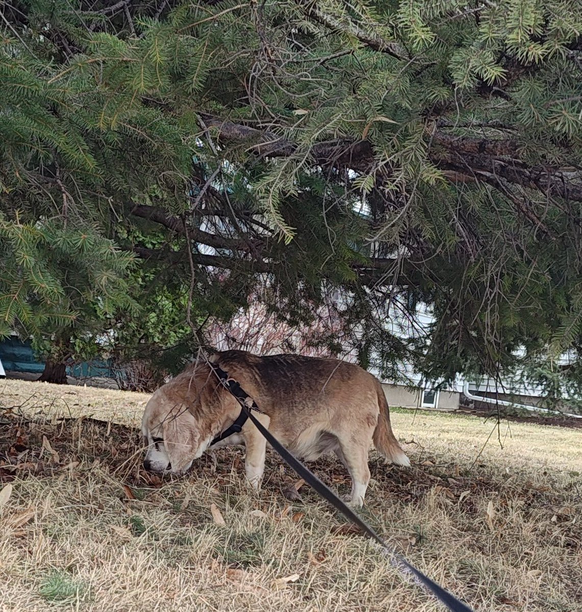 Ferguson y Jasper tweet media