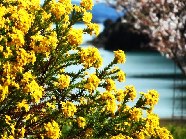 Masaaki Miyake三宅正章 tweet media