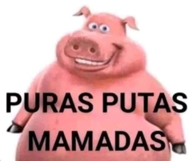 blitzomorningstar tweet media