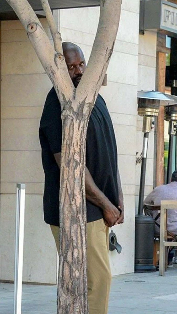 Sun Hobi♡🪭 tweet media