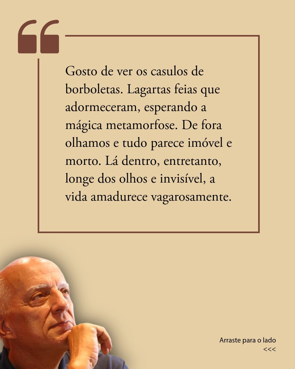 Papirus Editora tweet media