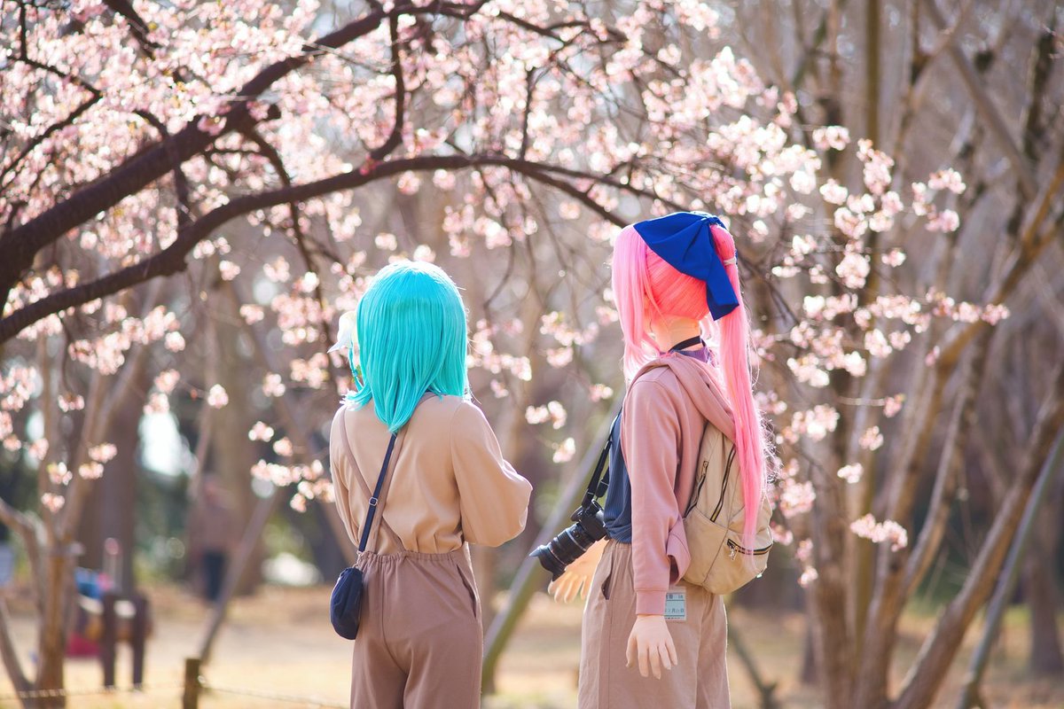 ﾘﾌﾞﾚ tweet media