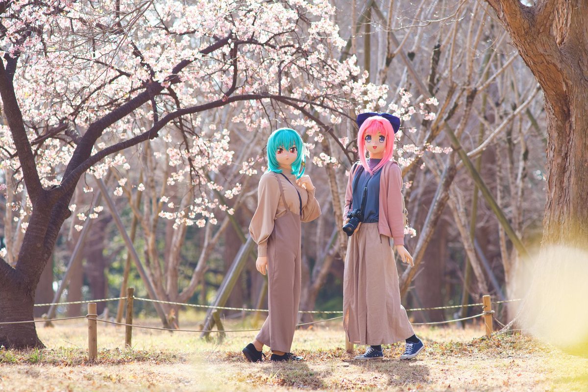 ﾘﾌﾞﾚ tweet media